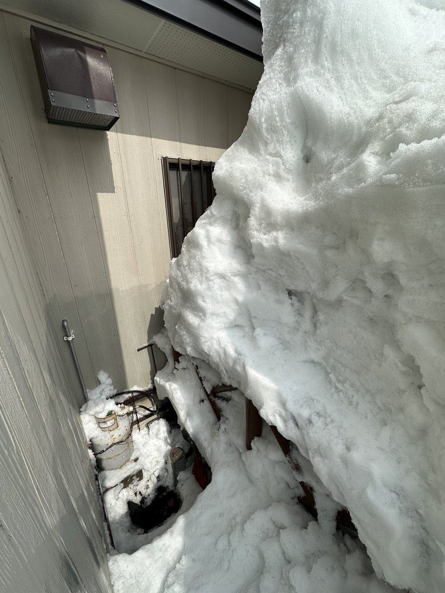 よもぎ tweet media