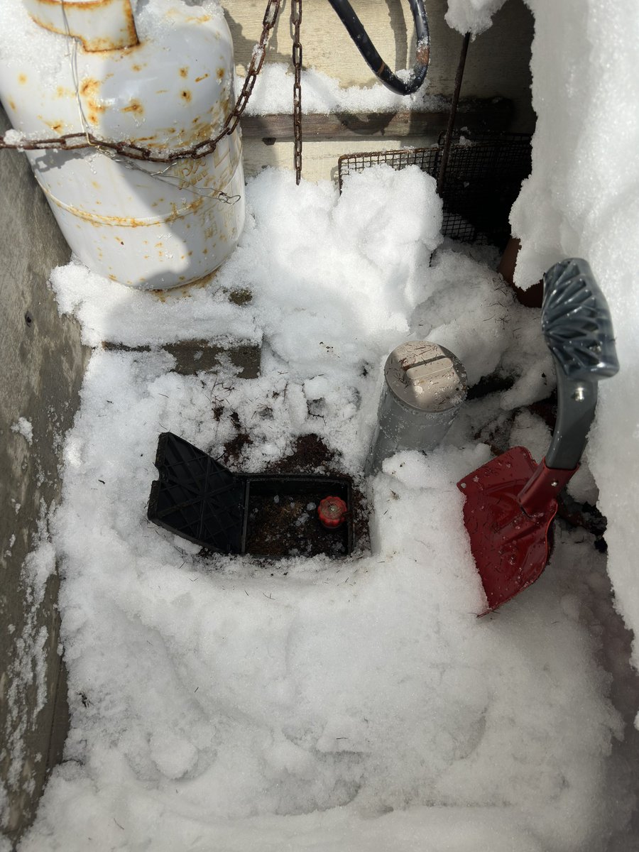 よもぎ tweet media