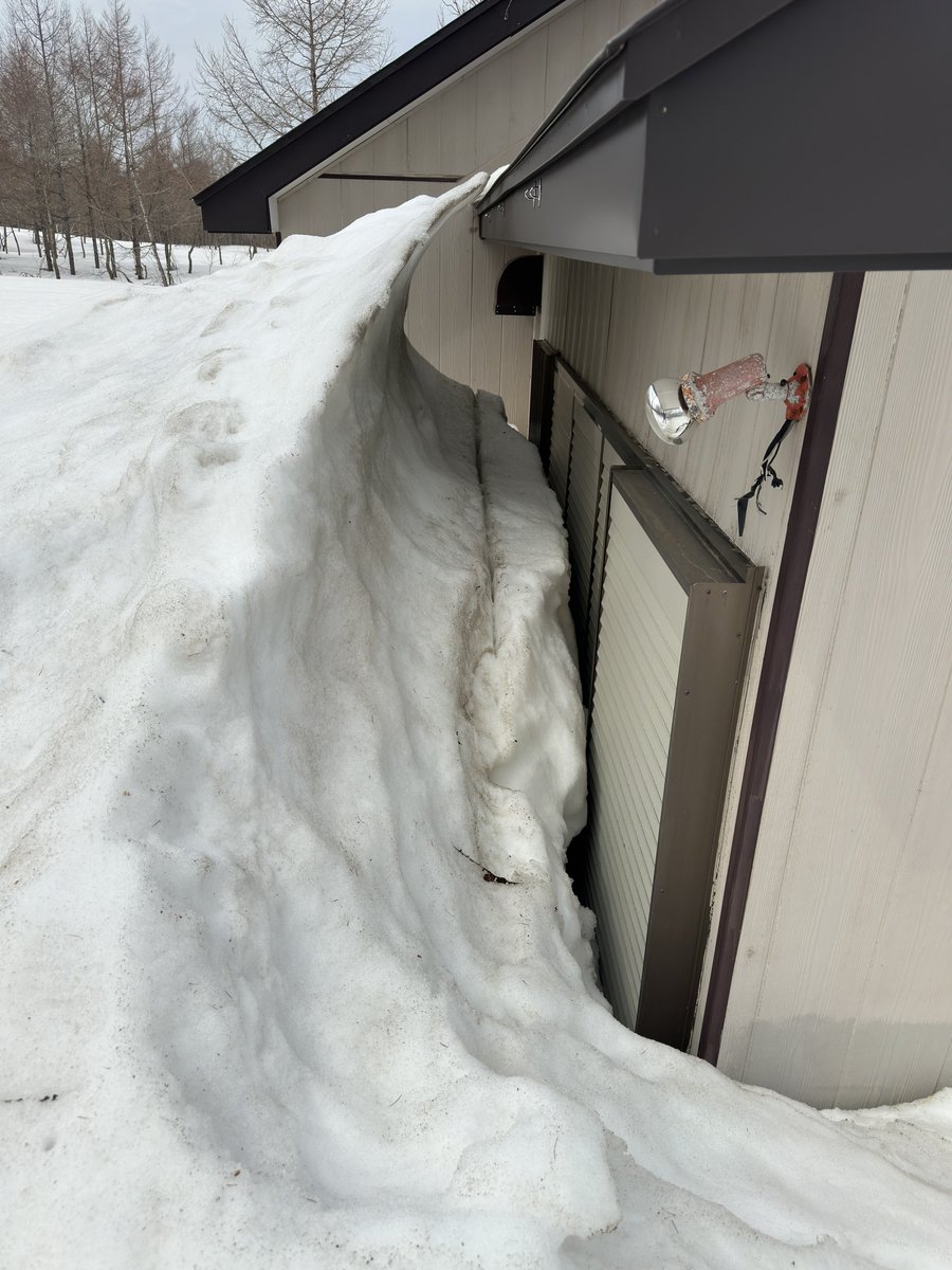 よもぎ tweet media