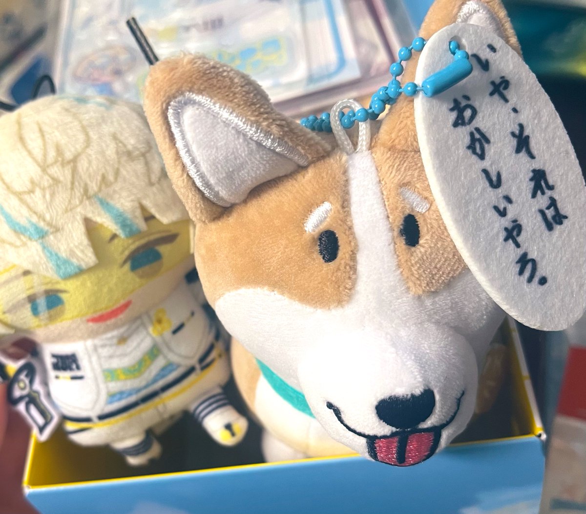 抗議するコーギーこと、ハチきた！サイズ感と手触りが良い！かわいい！！