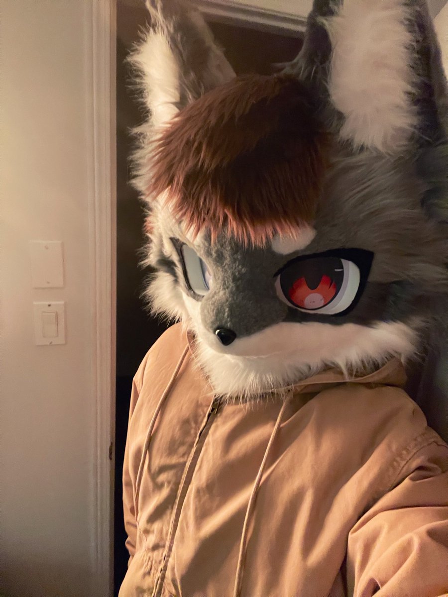 GrowlingCanine's tweet photo. Hope I’m not too late #FursuitFriday https://t.co/LotnWkRX1g