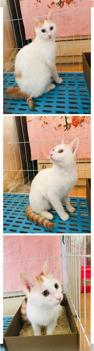 EMAD GAMAL AHMED tweet media