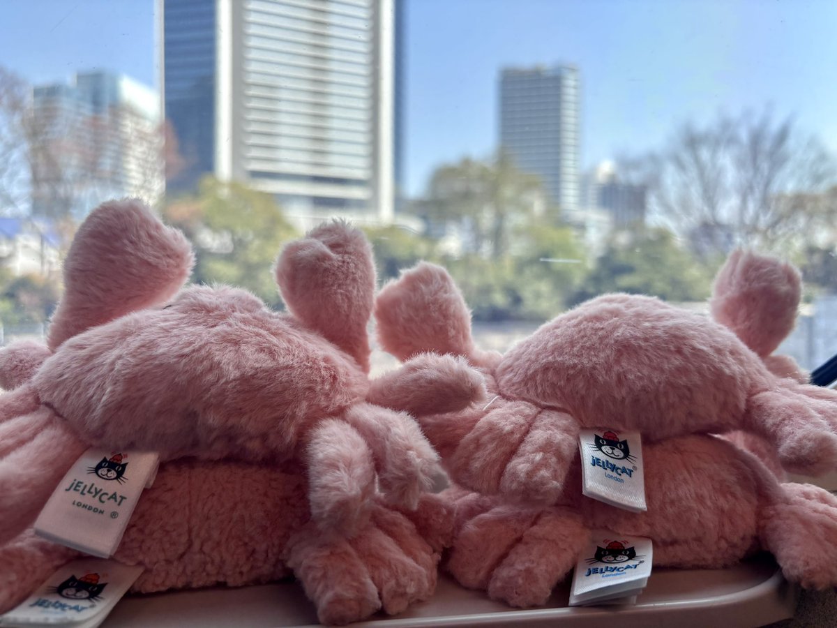 Arie600's tweet photo. 🦀ﾌﾝﾌﾌｰﾝ♩
🦀ﾌﾝﾌﾌｰﾝ♩¨̮
🦀ｱｯ!ｻｸﾗ!!
🦀ｴｯ?ｴｯ?ｱｰｯｯ!! https://t.co/nzzqQMKsvq