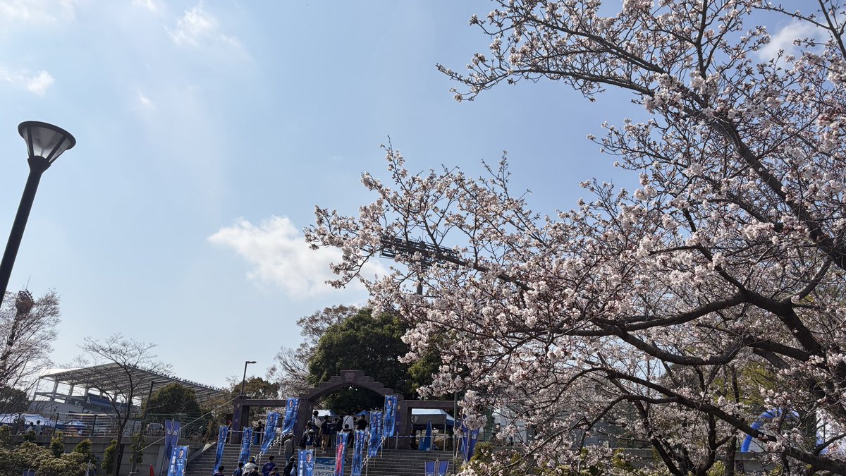 sa_19f41's tweet photo. 着いたー！天気良い🌸
さて、今日の試合はどうなるのでしょうか！ https://t.co/7l7uSlYLuS