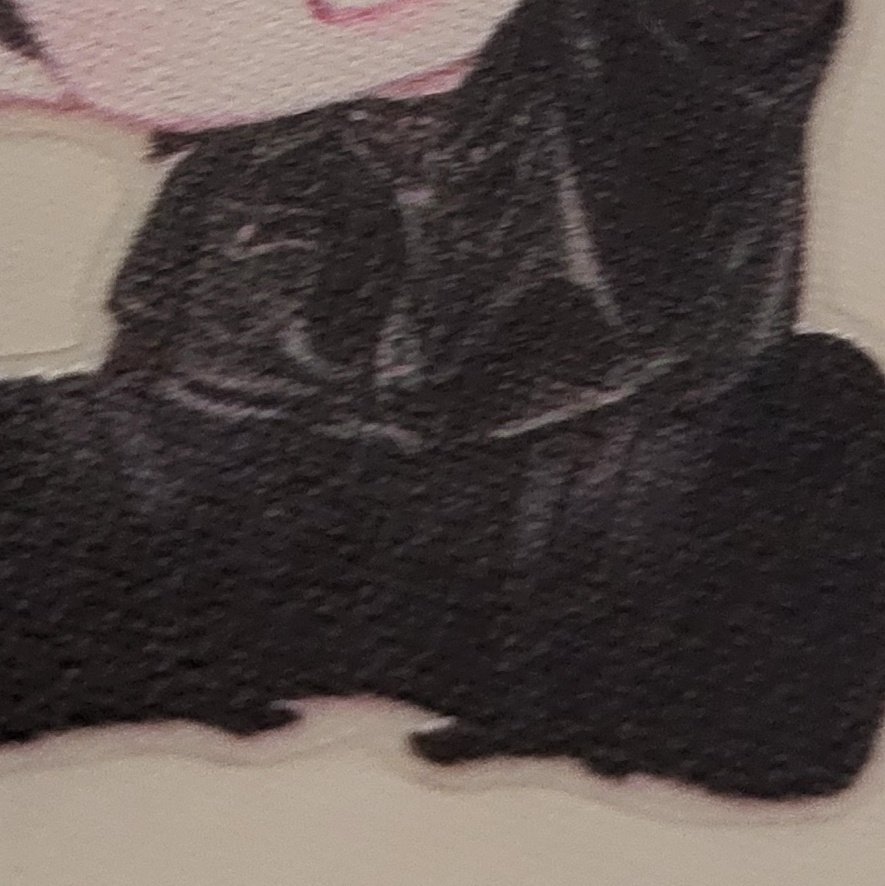 퐁당퐁당 tweet media