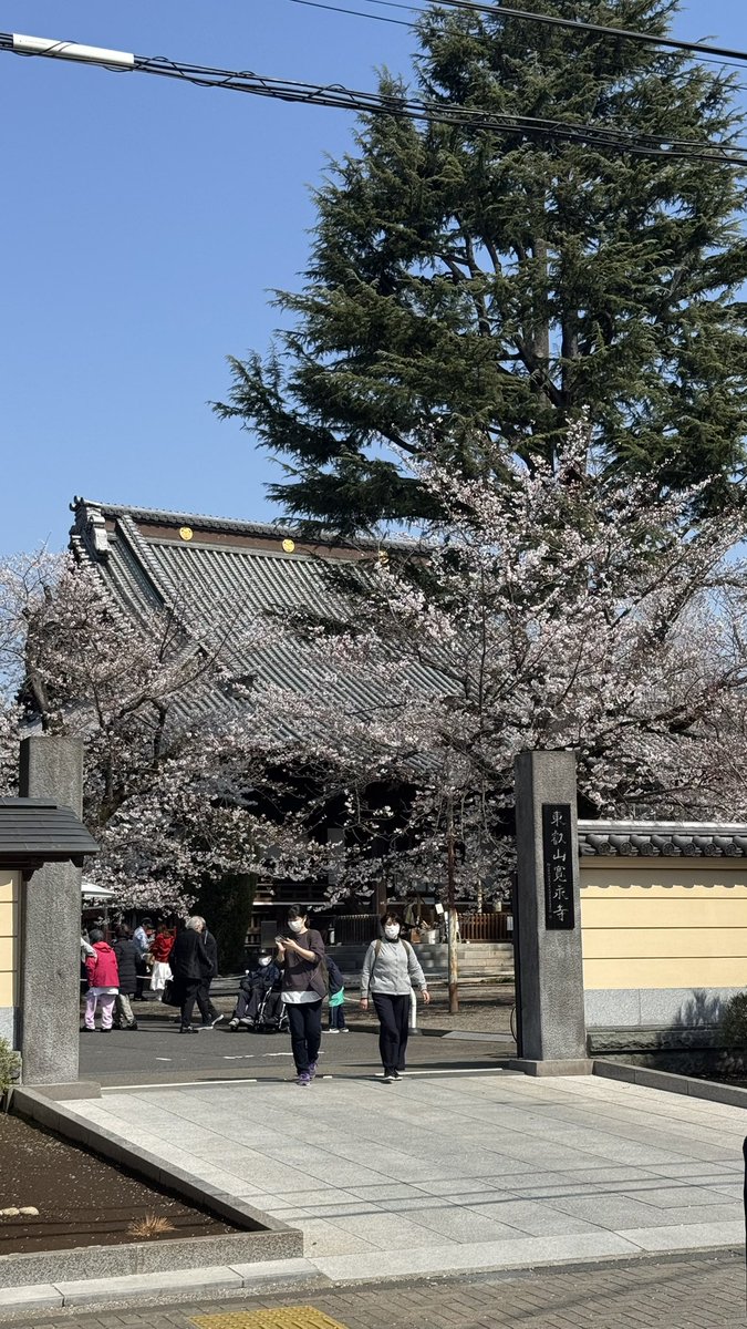 だんな tweet media