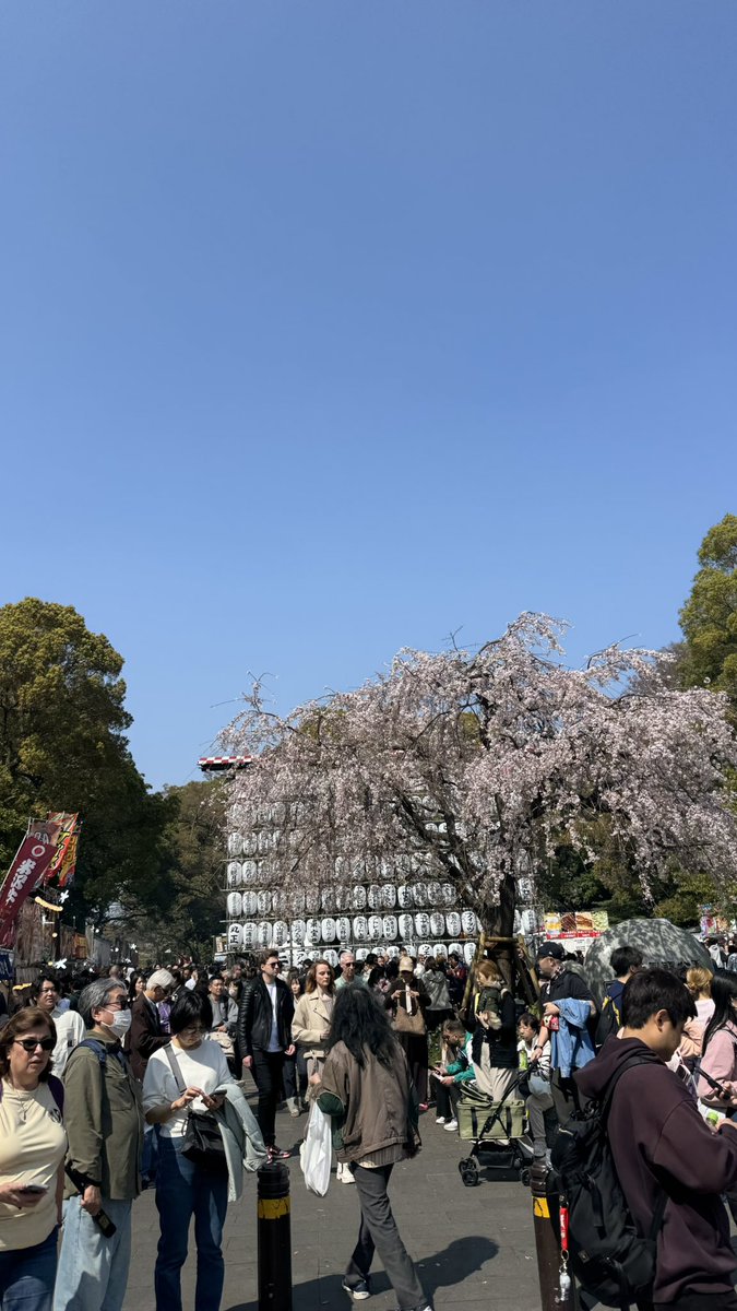 だんな tweet media