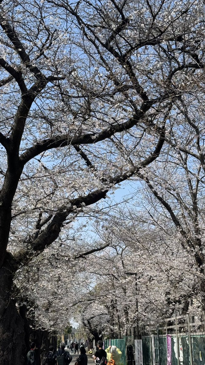 だんな tweet media