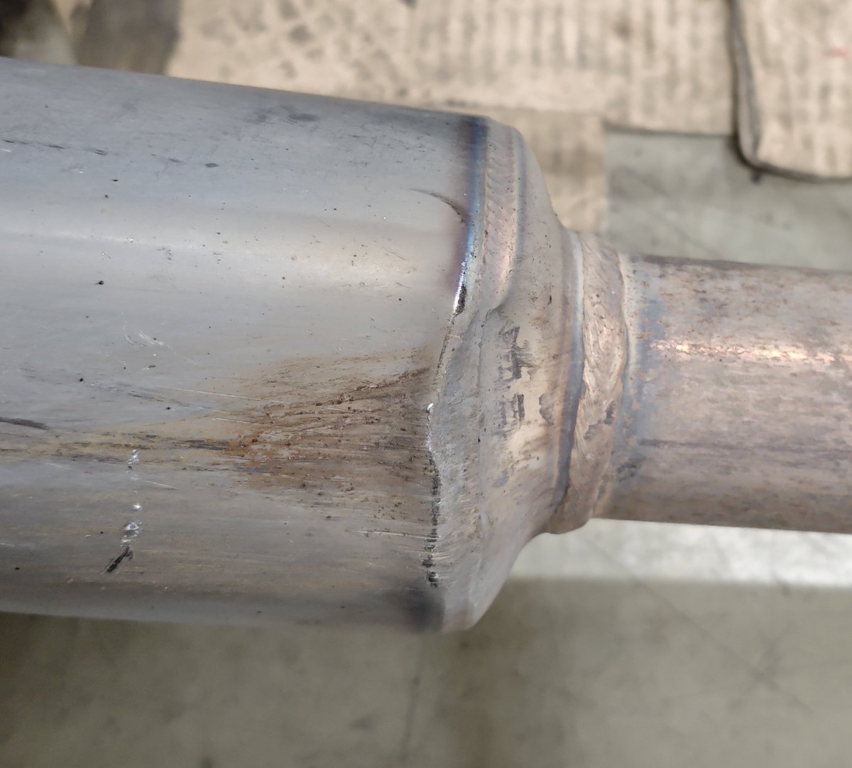 しょーご🌲🎣 tweet media