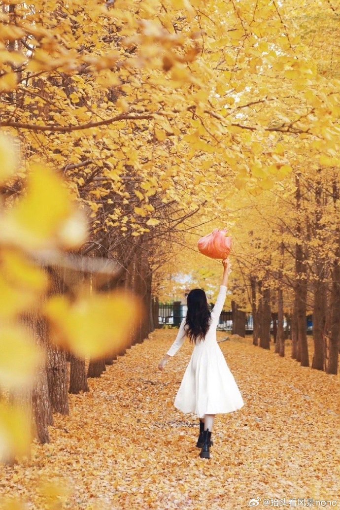 ESSAM AHMED tweet media