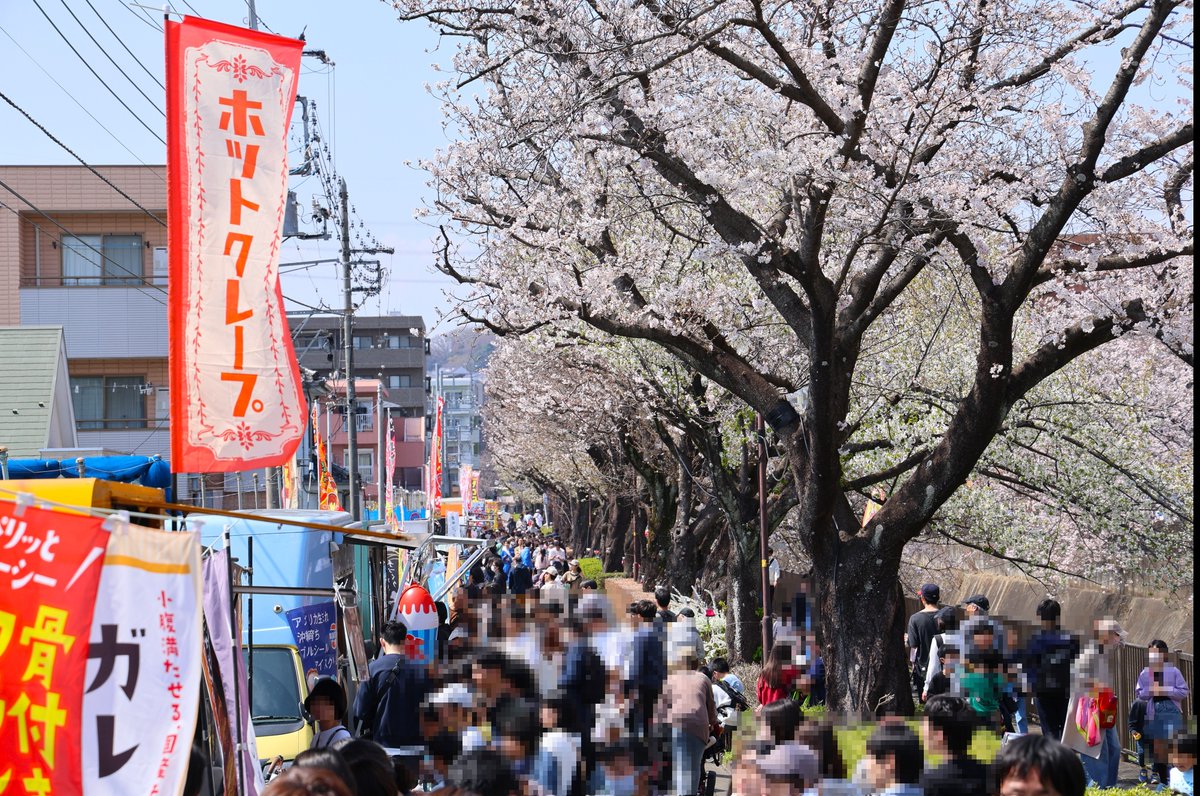 東京都稲城市(公式) tweet media