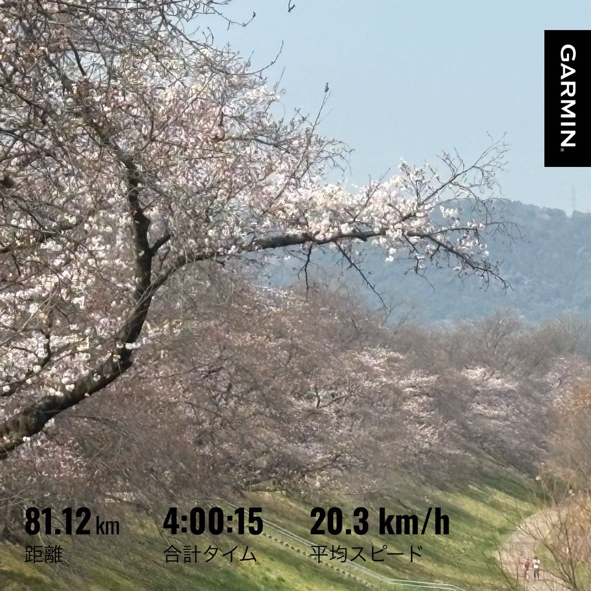 バスカヴィル家の大 tweet media