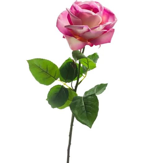 الغنيم عادل tweet media