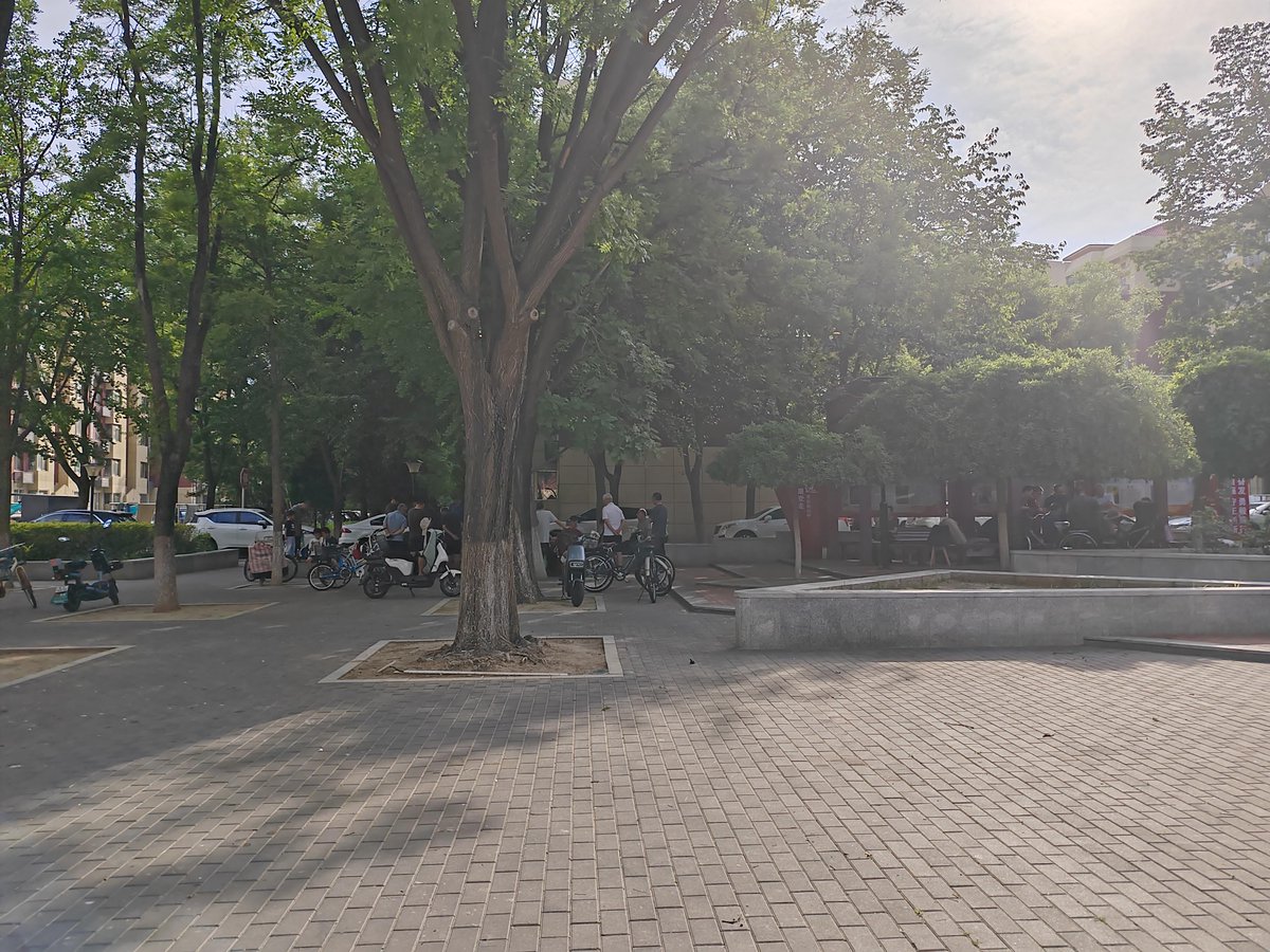 Jana Uttendorfská tweet media