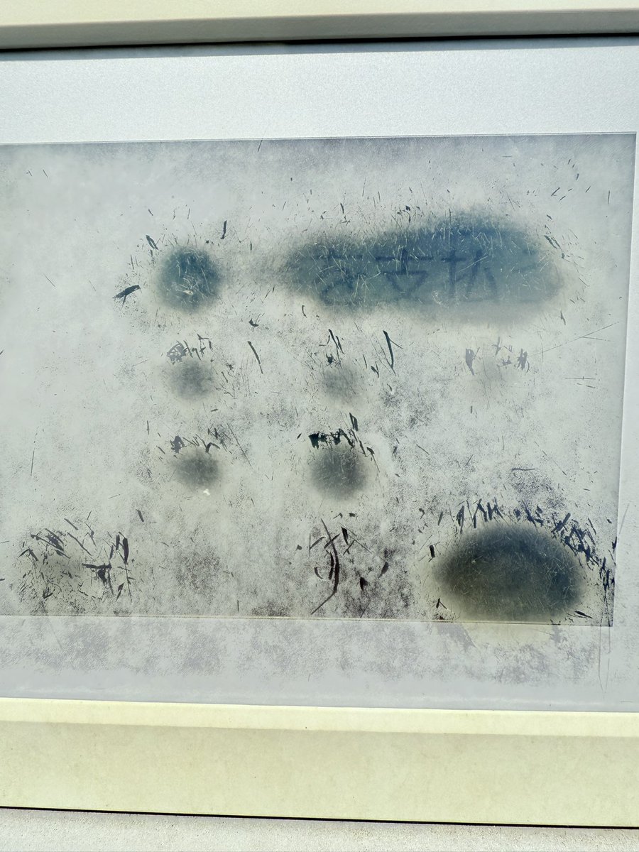 Shun@TOTALFAT tweet media