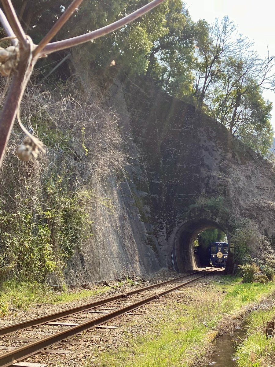 ちぴいも tweet media