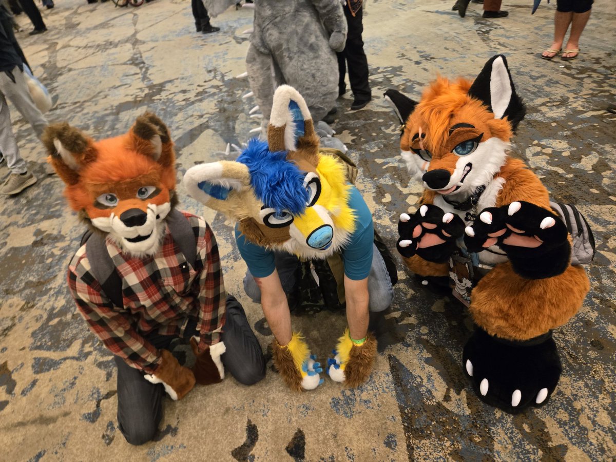 LoxLeeFox tweet media