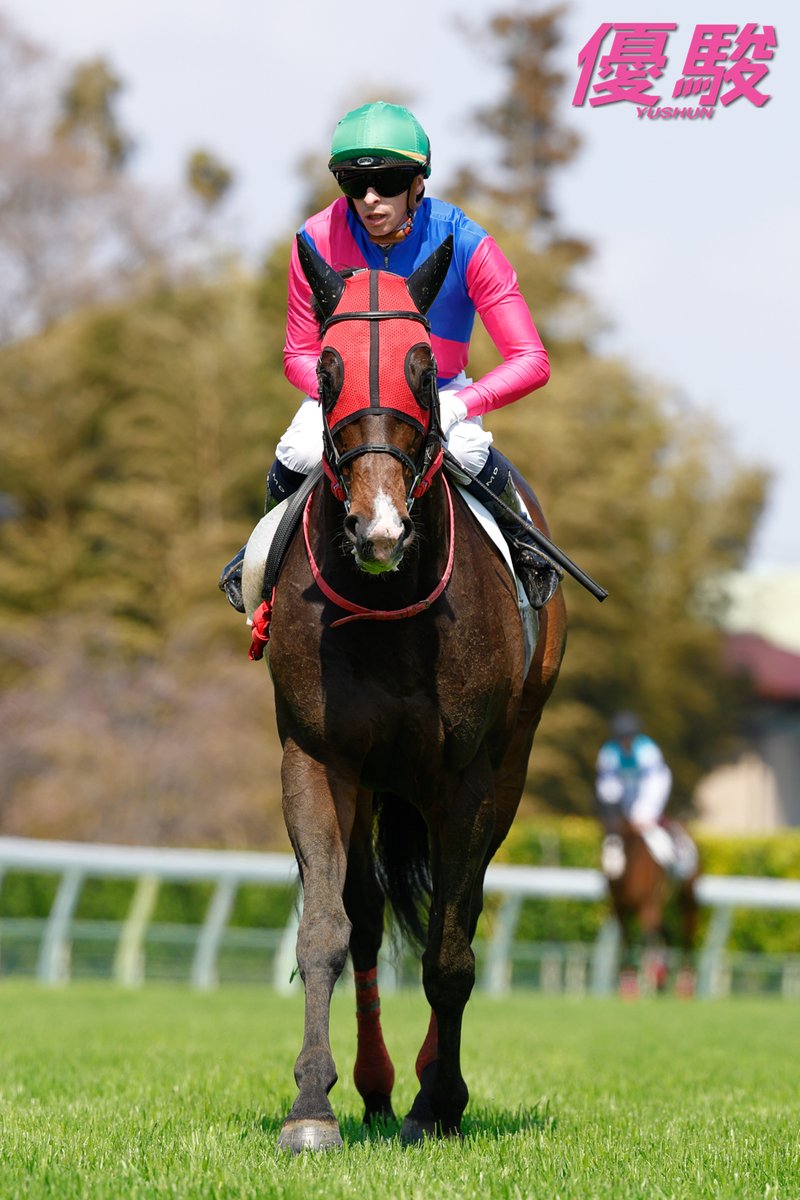 『優駿』編集部 tweet media