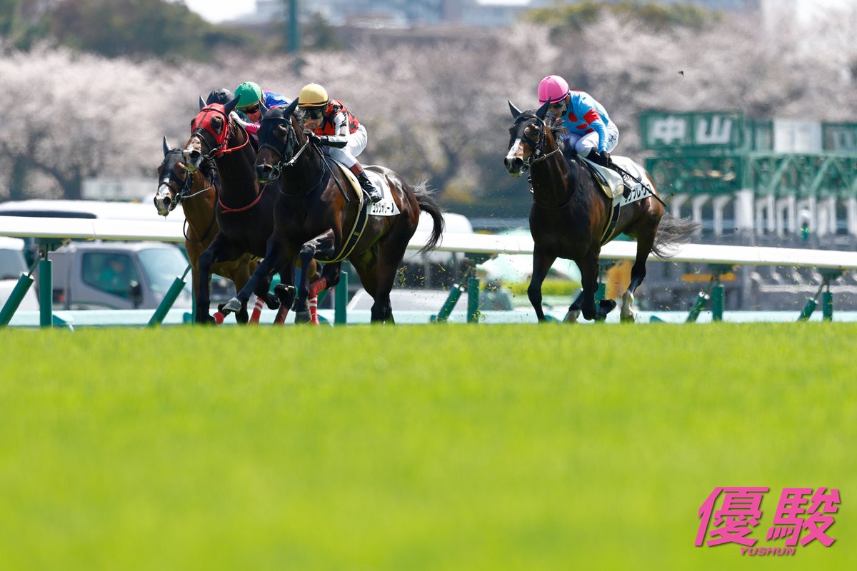 『優駿』編集部 tweet media