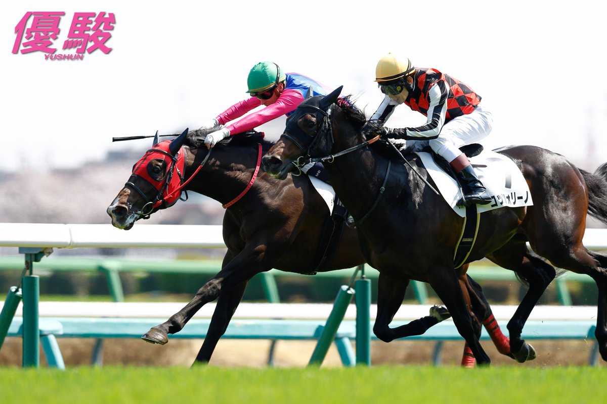 『優駿』編集部 tweet media