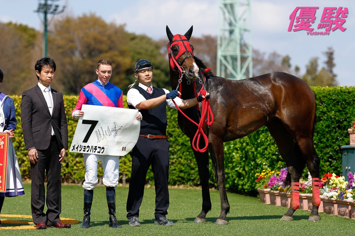 『優駿』編集部 tweet media