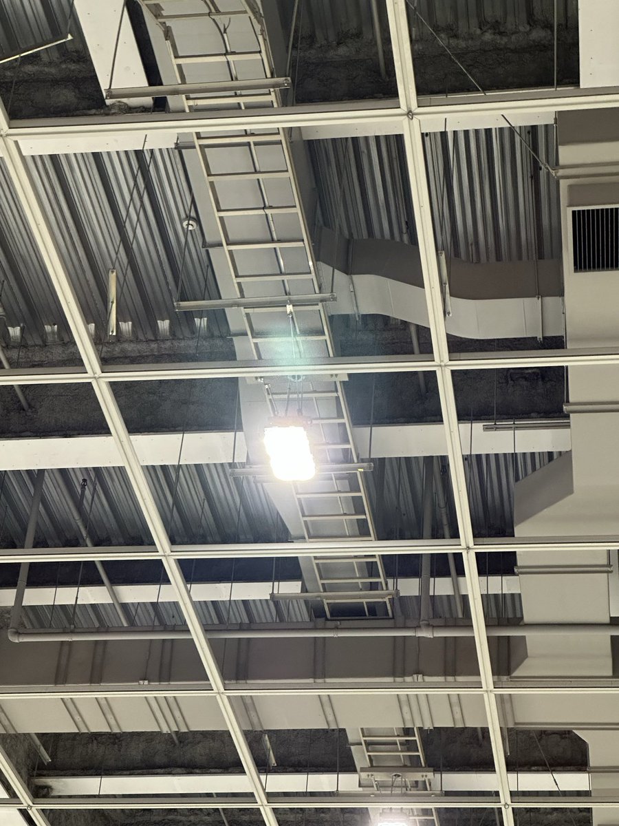 そばじろう tweet media