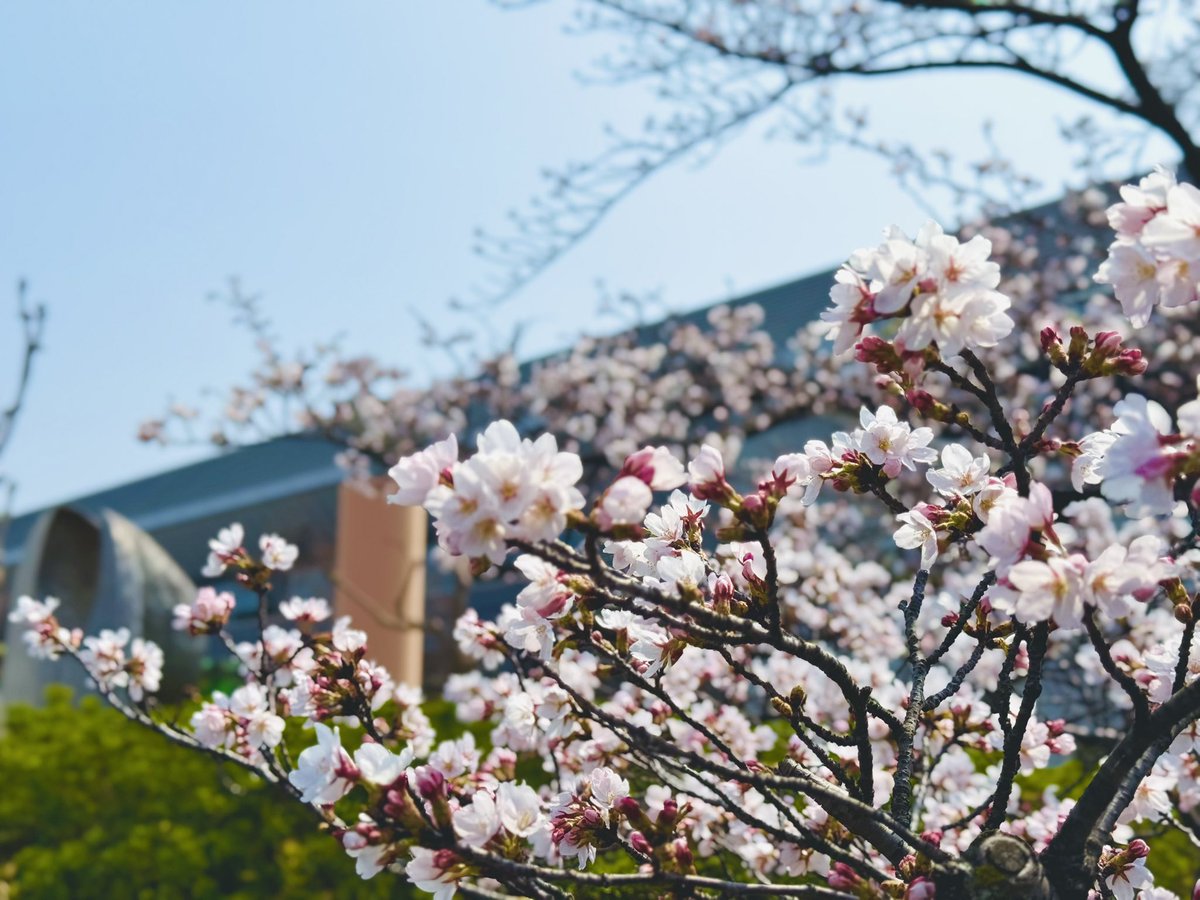 北村真平(ABCアナウンサー) tweet media