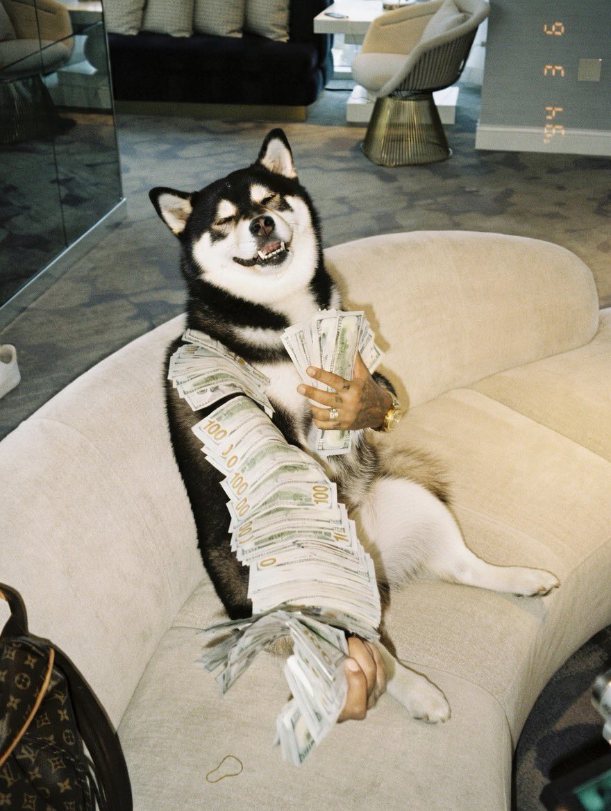 E$KO 🖤🐕 tweet media