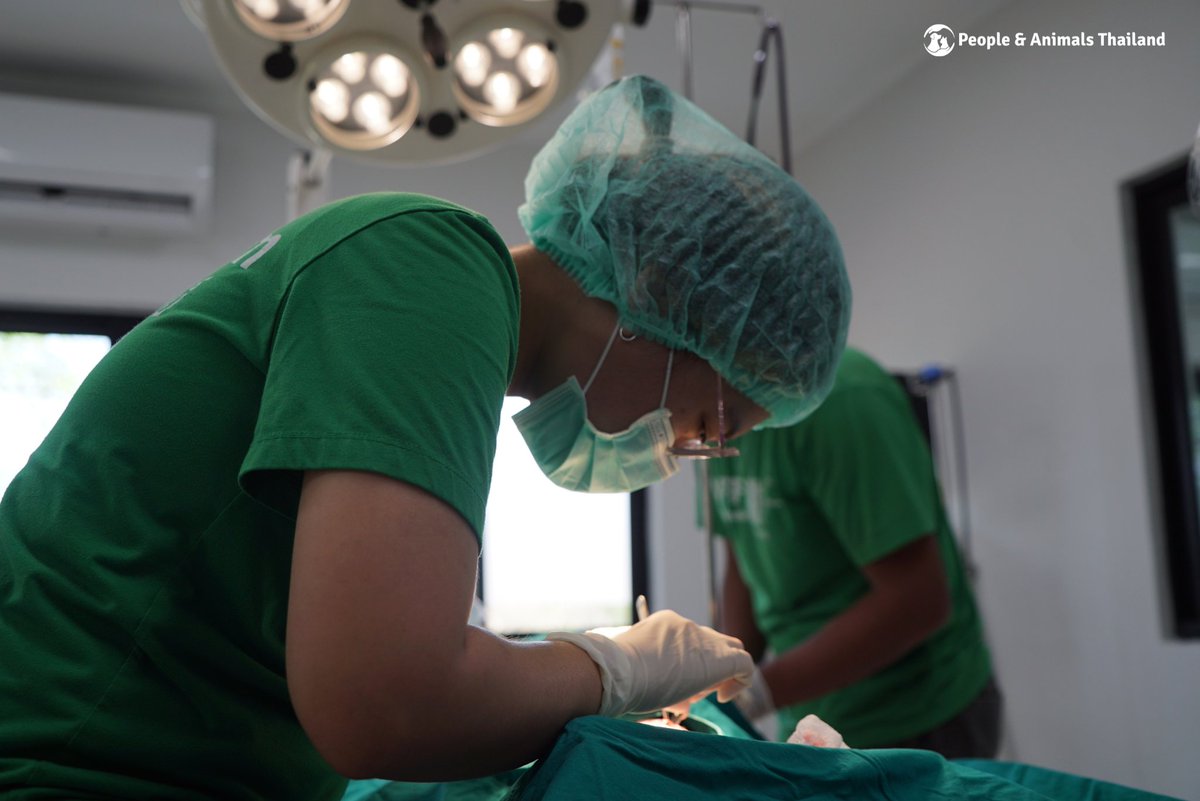 People & Animals Thailand tweet media