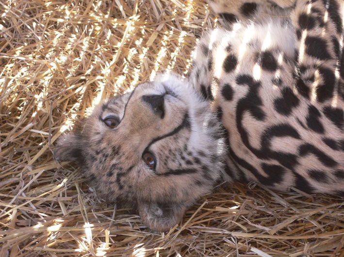 The mountains are calling my name. tweet media