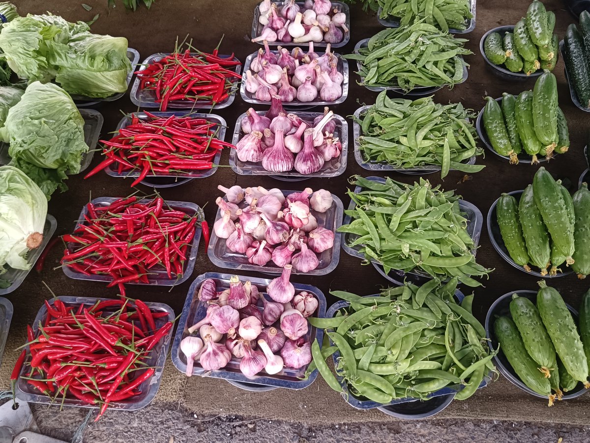 Koldomov tweet media