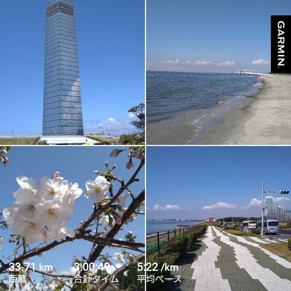 ひろり@アキレス腱炎リハビリ中 tweet media