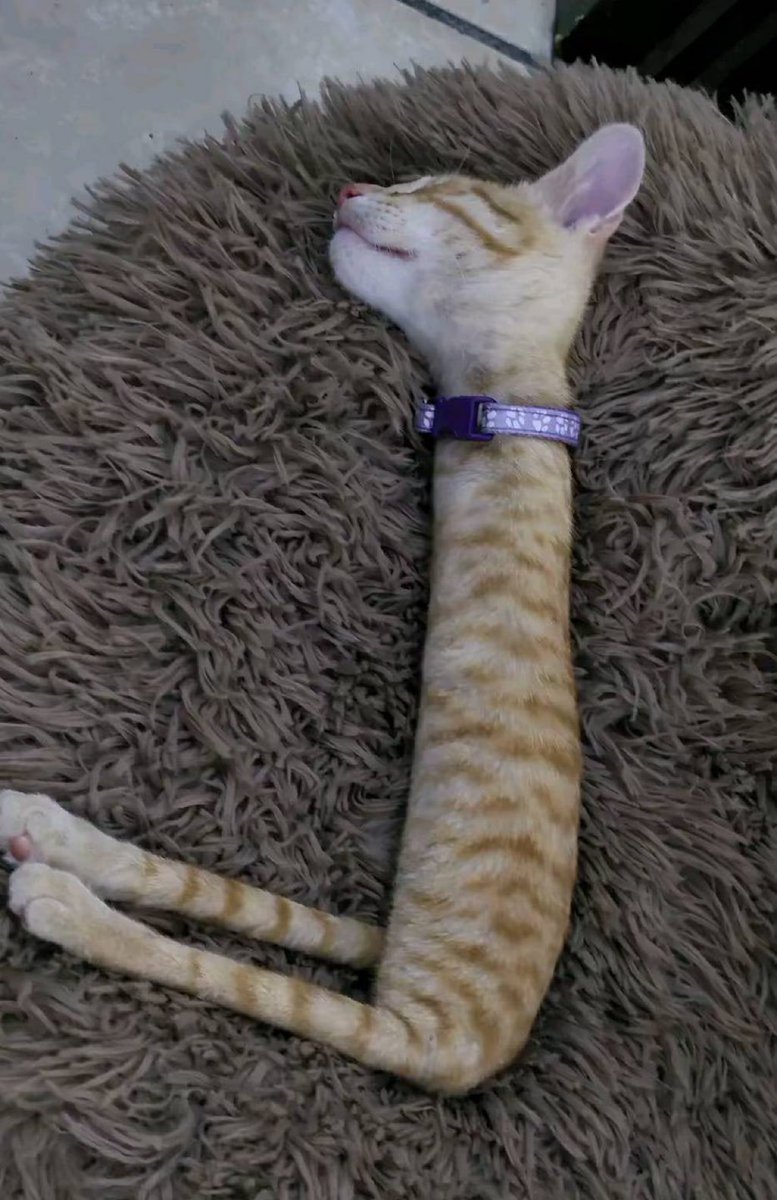 Byeah 🍻 tweet media