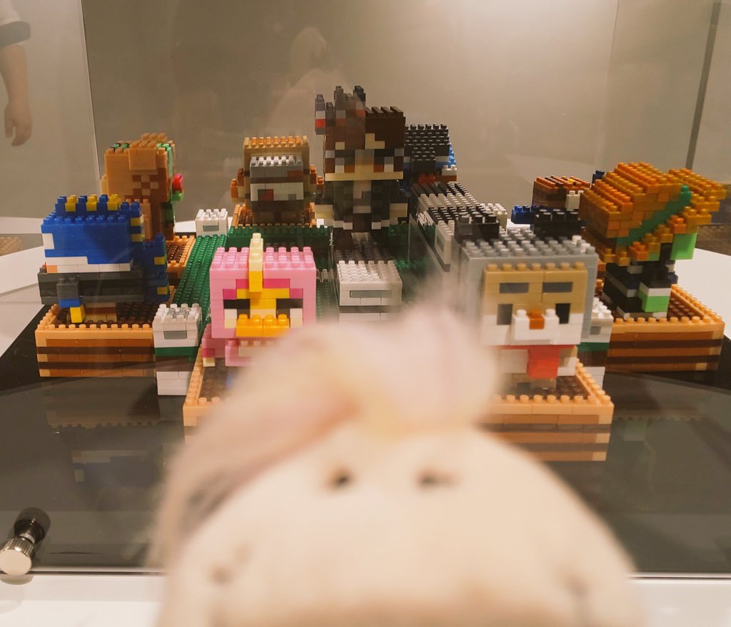 こいし。 tweet media