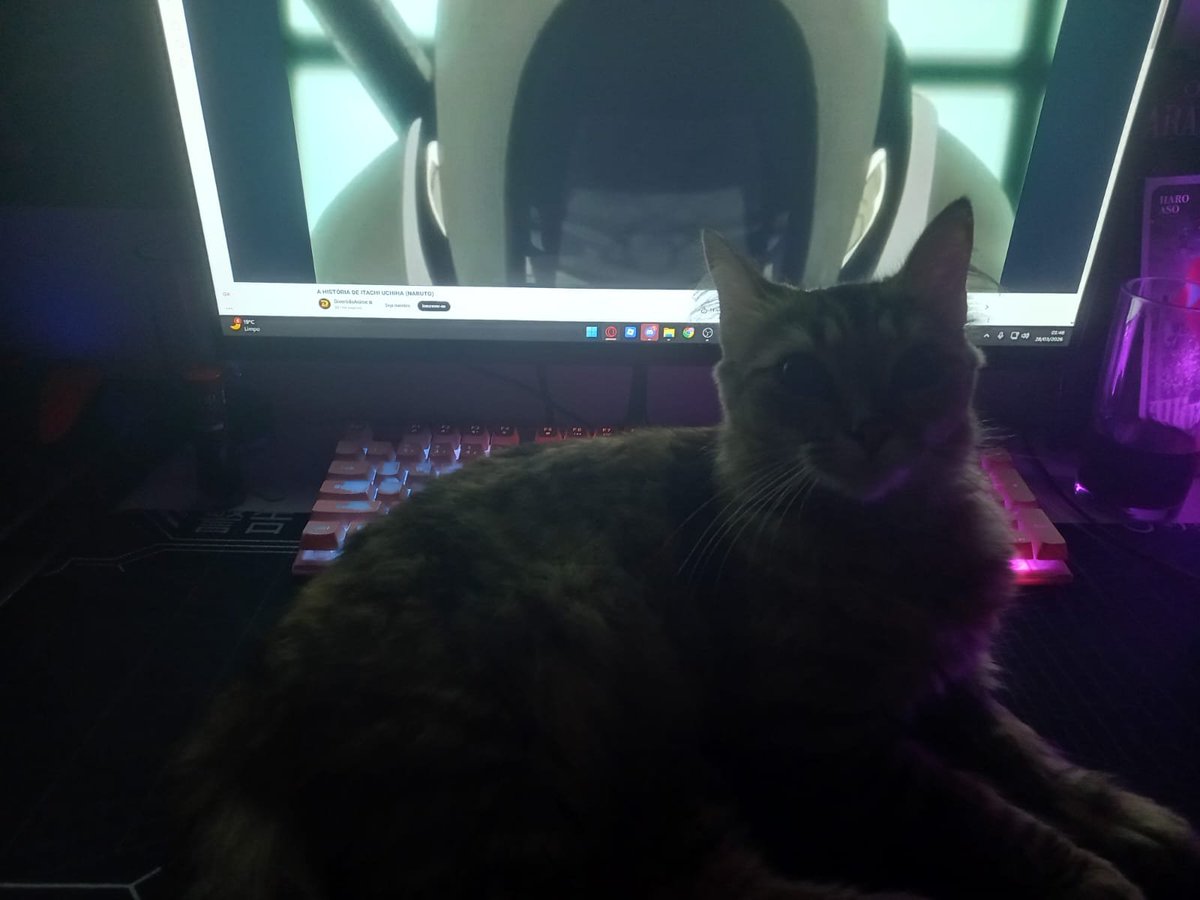 ꒰ 🦇 CҽllꝊres ‹ ఌ. ᵍᵃˡ ˢᵃˡ'ʷⁱᶠᵉ tweet media