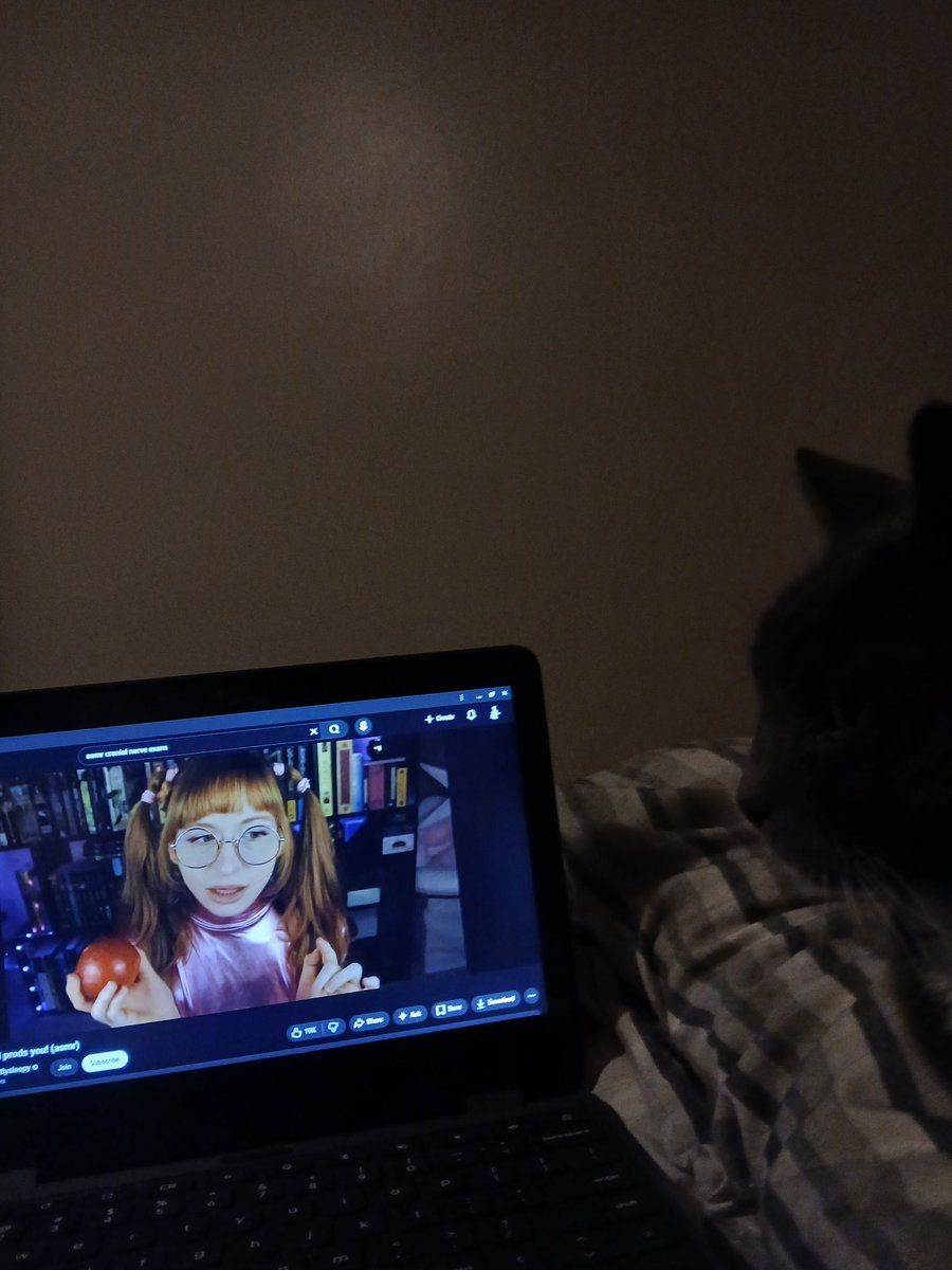 ᅟᅟᅟᅟ❣ᅟᅟ tweet media