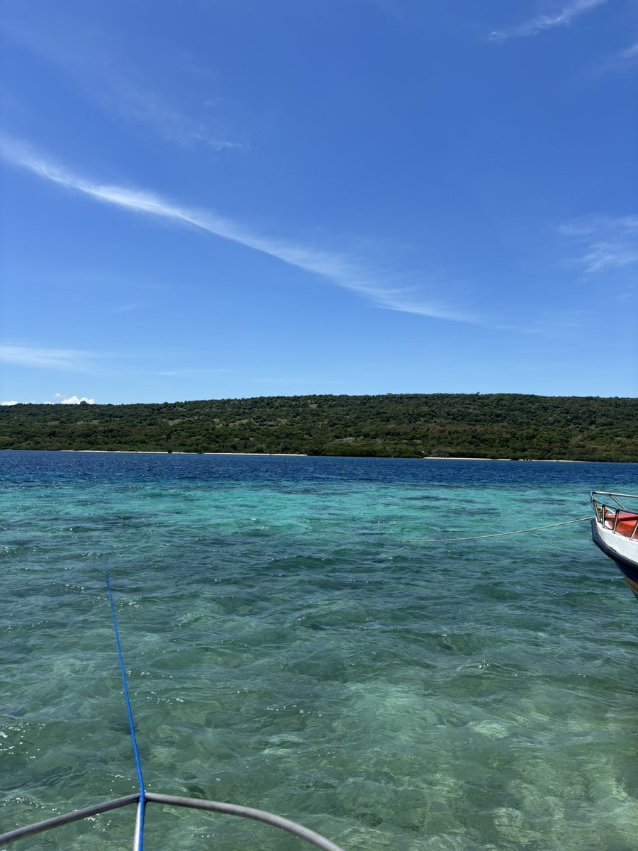 🛸 ber 🛸 tweet media