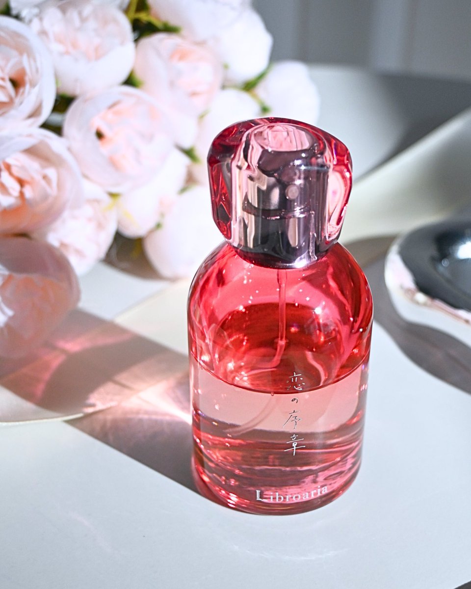 𝐋𝐢𝐛𝐫𝐨𝐚𝐫𝐢𝐚 /リブロアリア tweet media