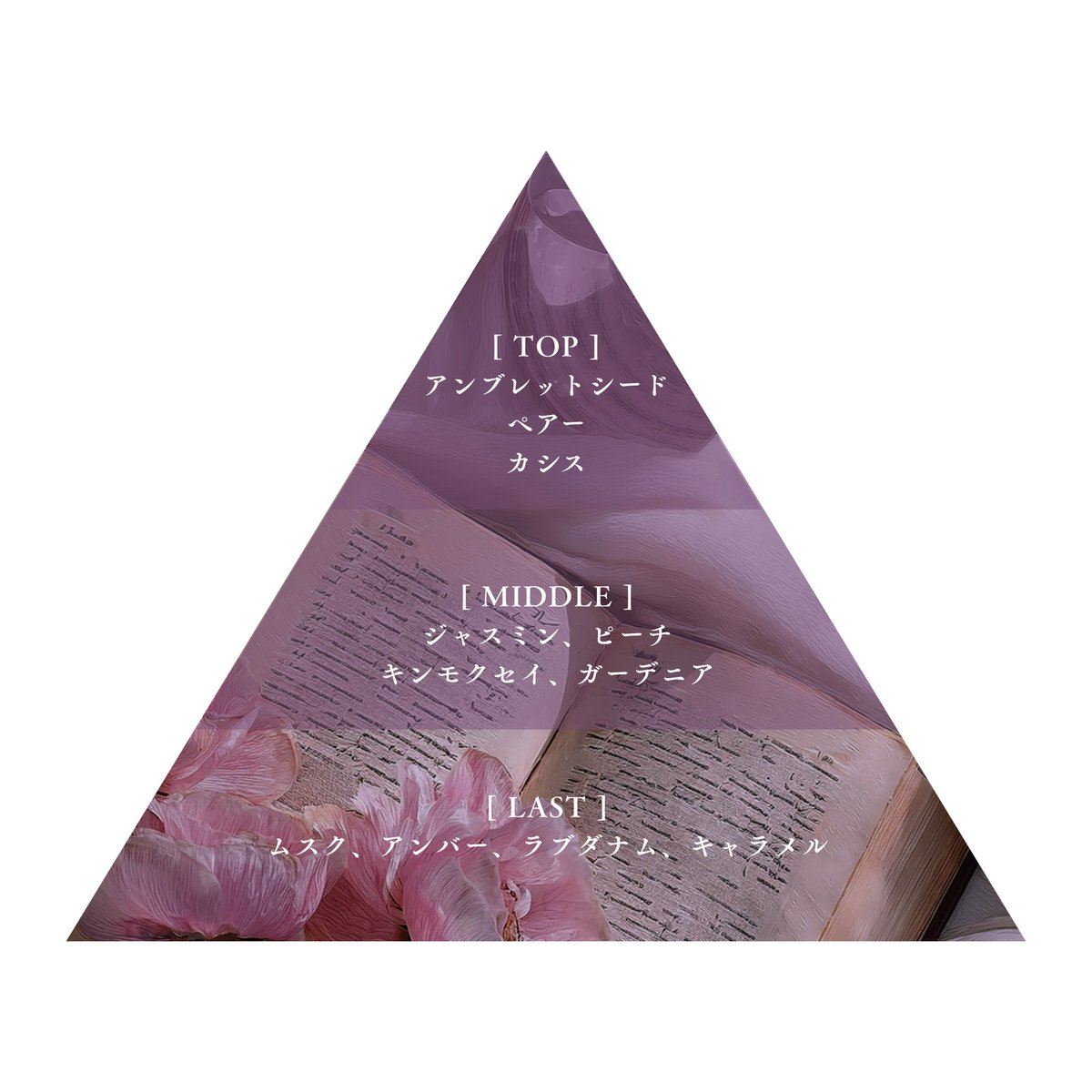 𝐋𝐢𝐛𝐫𝐨𝐚𝐫𝐢𝐚 /リブロアリア tweet media