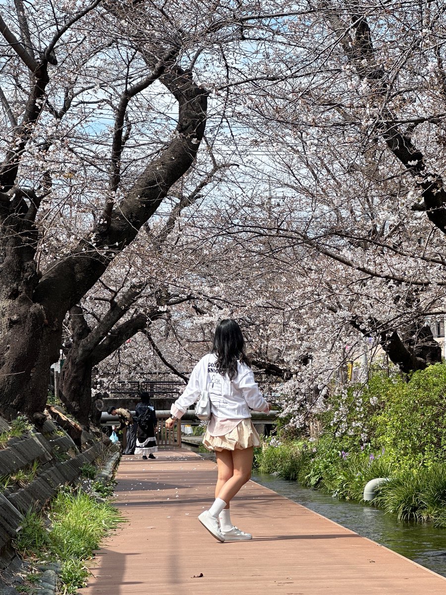 anotherxbe's tweet photo. 🌸 https://t.co/5A6xnkMljK