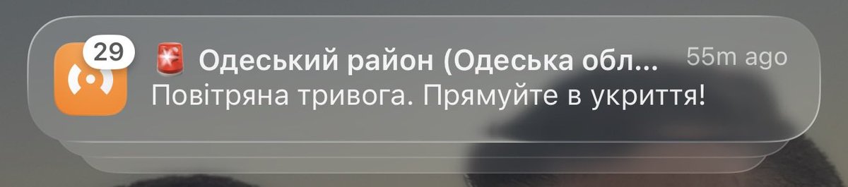 Bear mr 🏳️‍🌈🇺🇦 tweet media