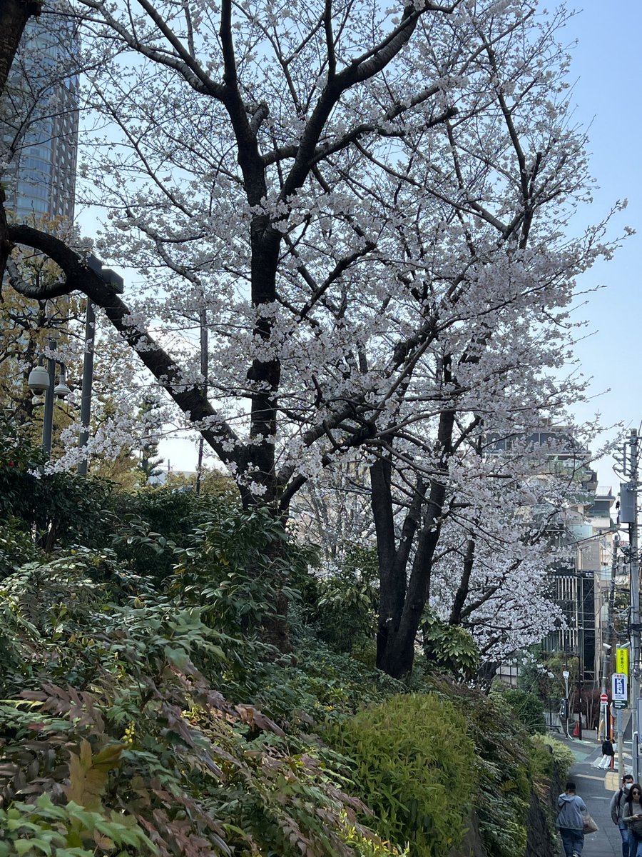 Sunil Kulkarni - suku99 tweet media