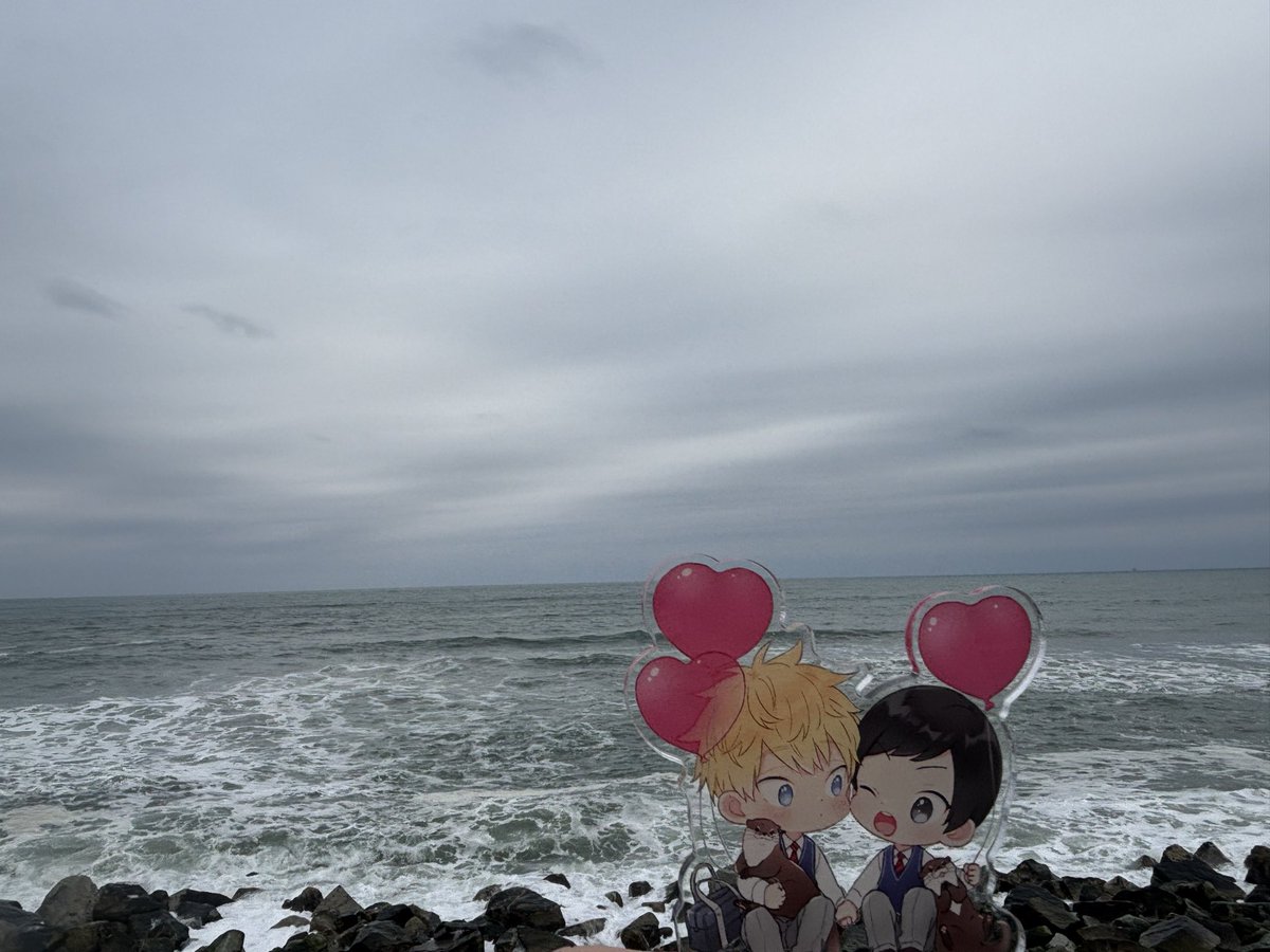 🌻✨あこ✨🌻 tweet media