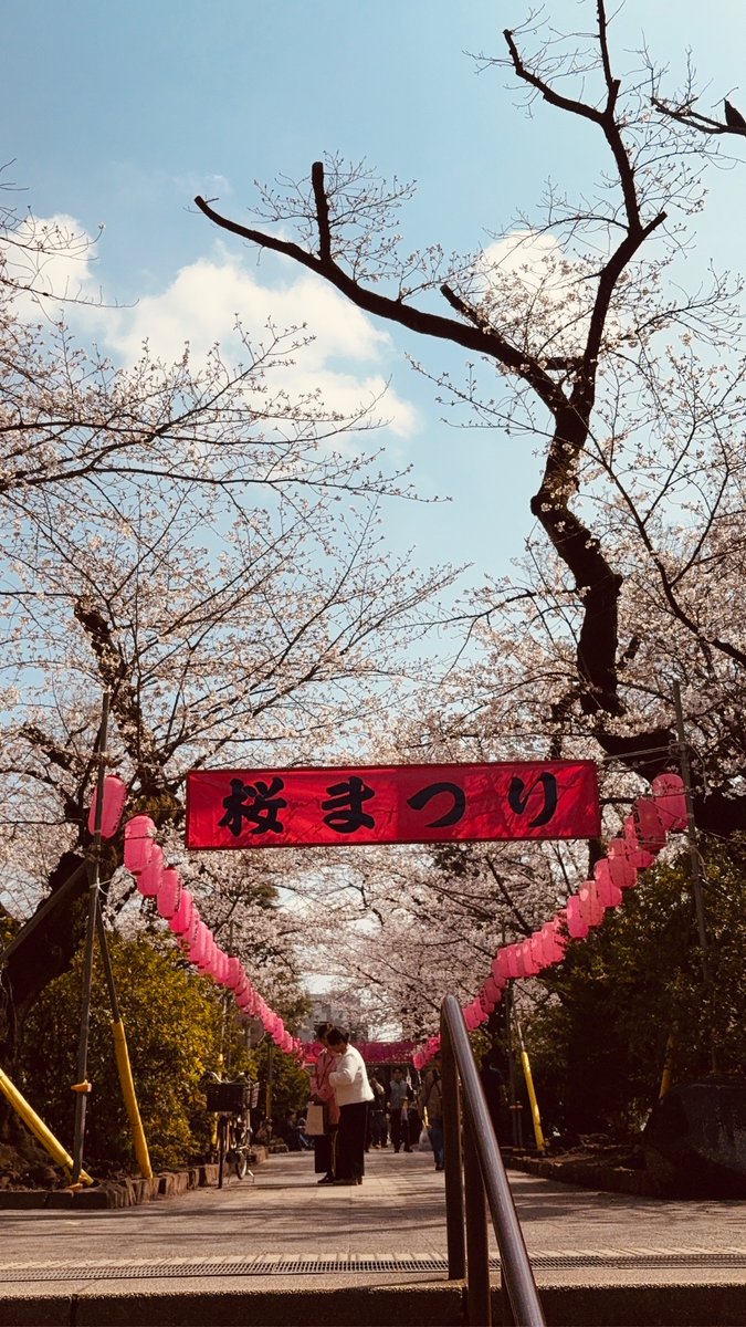 moi_chi's tweet photo. 空がピンクになる東京の春が好き。中野通りは今日一気に開花。
西武新宿線の踏切は今年も撮影スポットで賑わってる。 https://t.co/4oPqOxMVQO