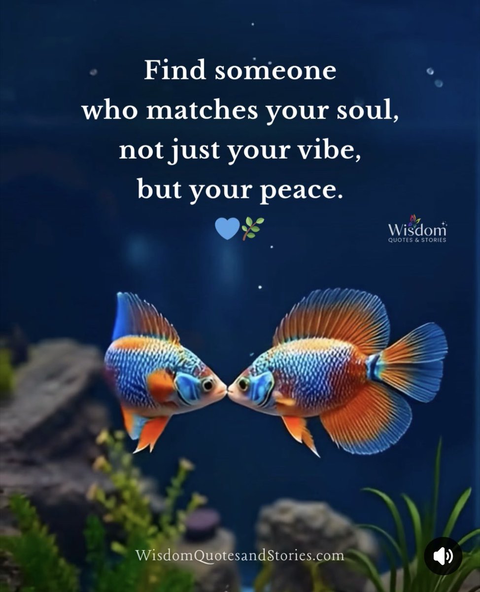 Lynn Nagel tweet media