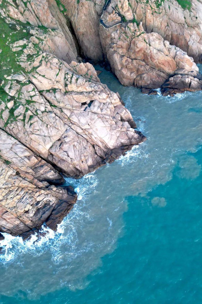 Rocio Martinez tweet media