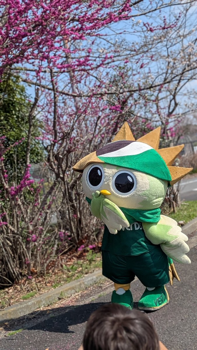 ぴょこ❤️🖤 tweet media