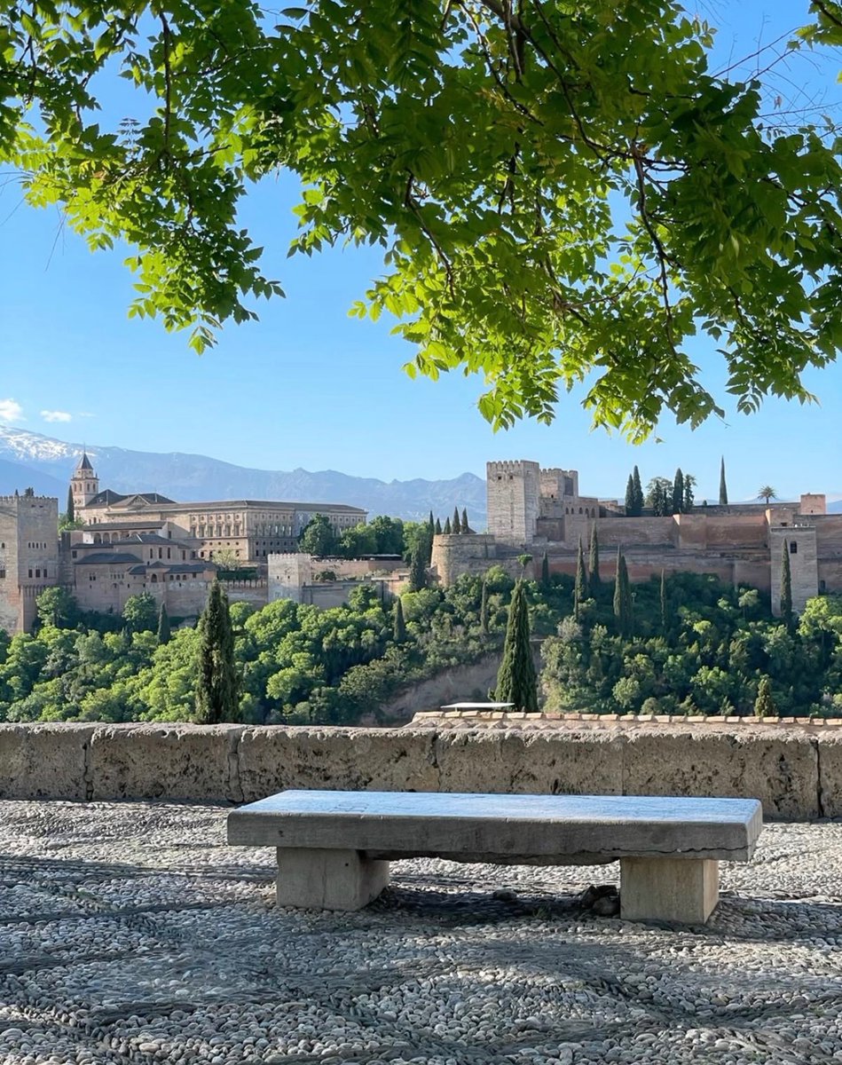 WORLD VIEW tweet media