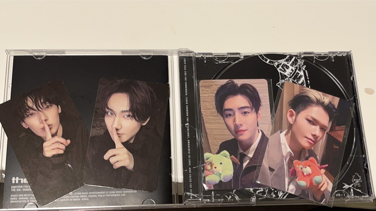 🦭💛 tweet media