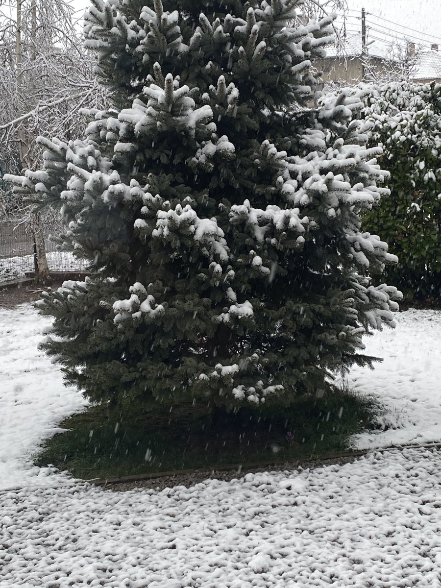 GatevaDessi's tweet photo. Who would’ve thought it…. ❄️☃️ https://t.co/qbC559IyEw